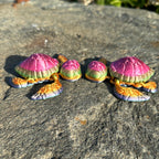 Sea Turtle