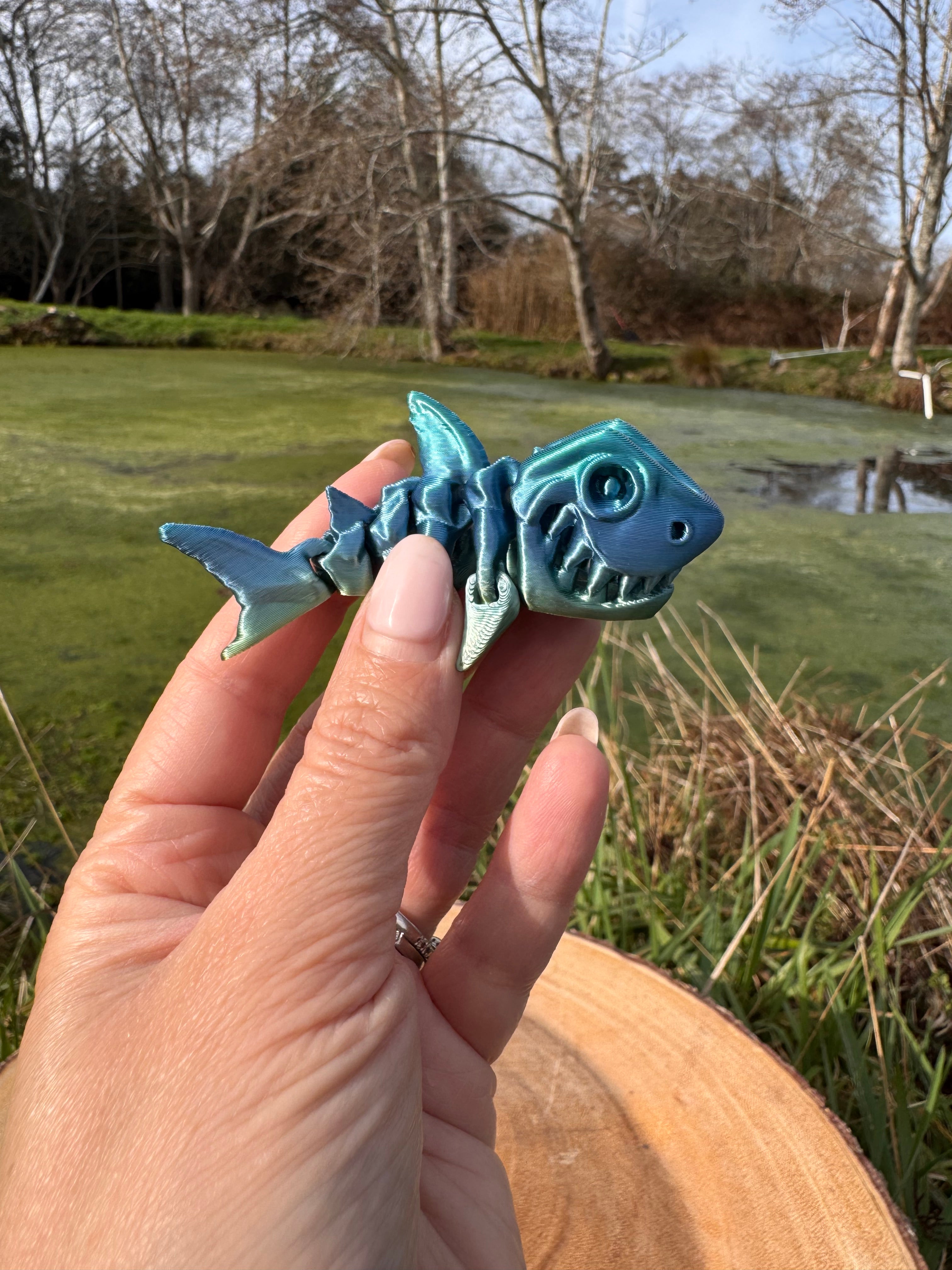 Skeleton Shark Mini