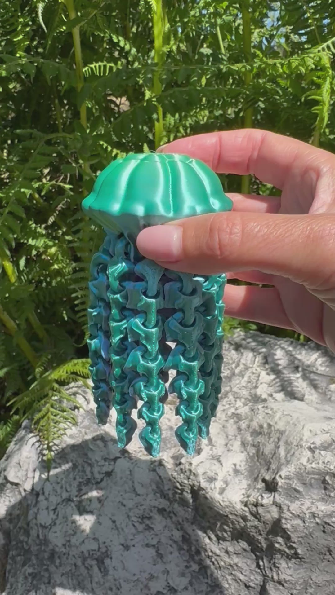 Jellyfish