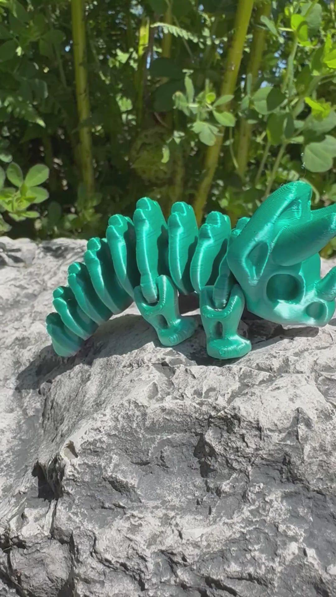 Baby Triceratops