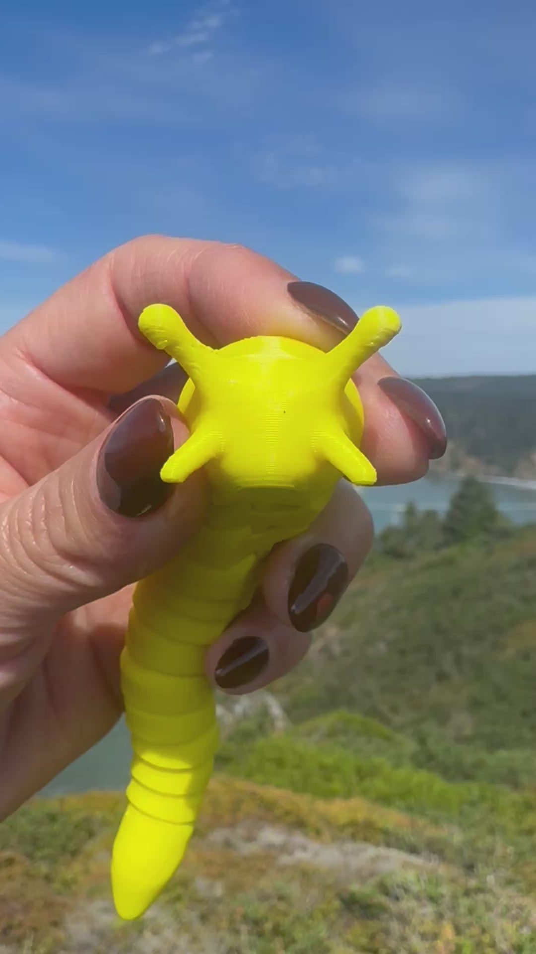 Banana Slug Fidget & Magnet